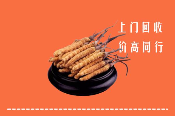 高价求购：肇庆回收散虫草